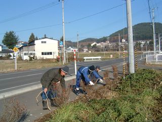 つつじ冬したく