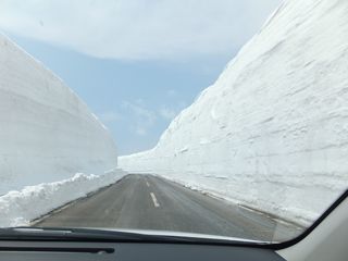 DSCF0882 DSCF0882
